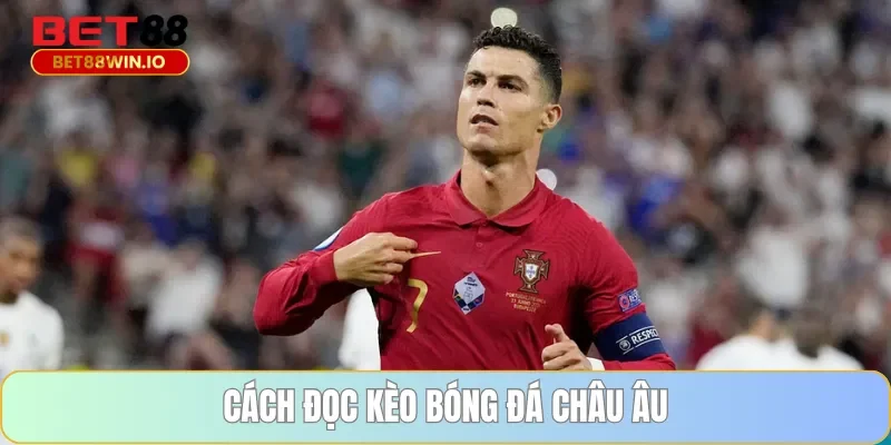 Cách đọc kèo bóng đá châu Âu Cách đọc kèo bóng đá châu Âu